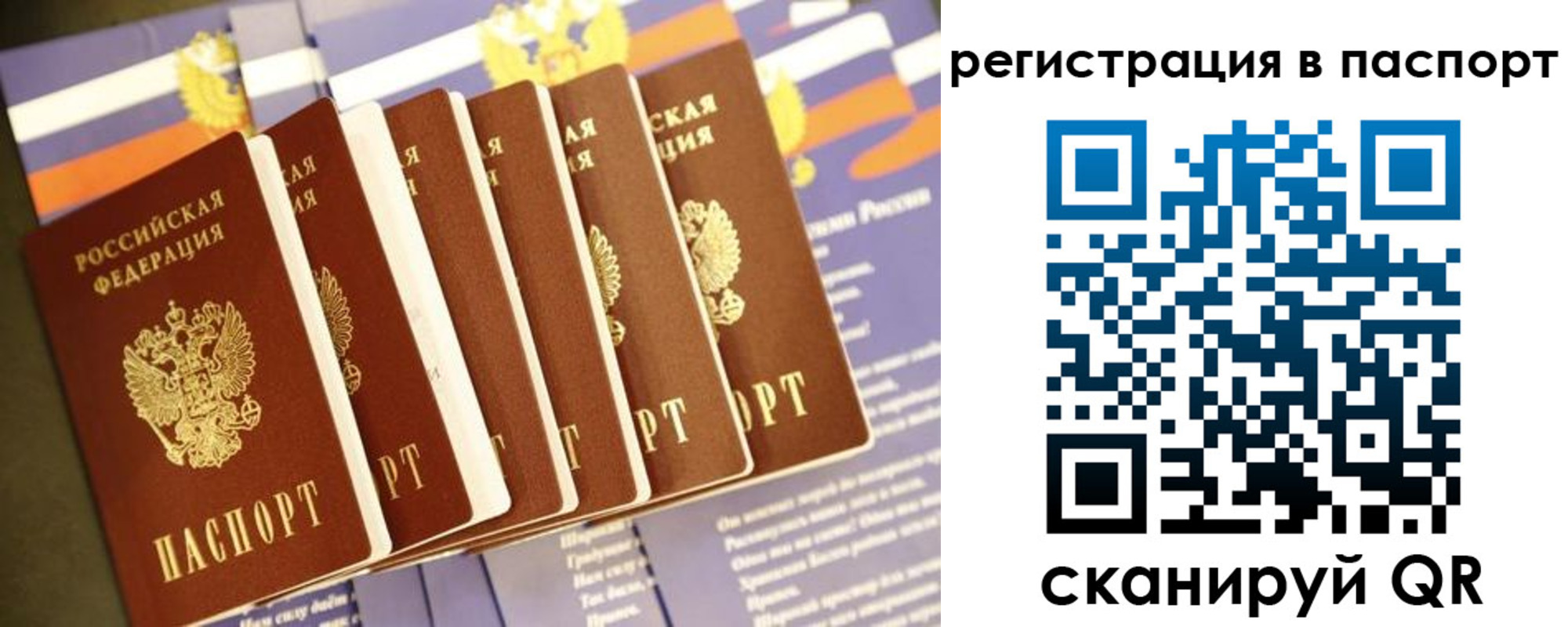 прописка ребенка в Новочеркасске
